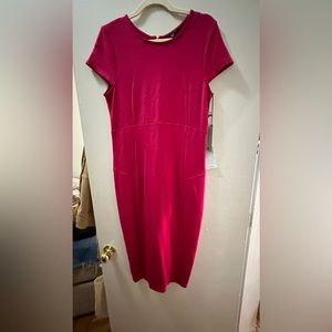 FELICITY AND COCO PINK WARD SEAMED PENCIL DRESS- SIZE XL